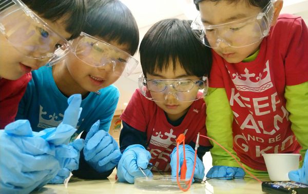 Teachers at GG International School, Tokyo integrate MEL Chemistry kits into their science lessons